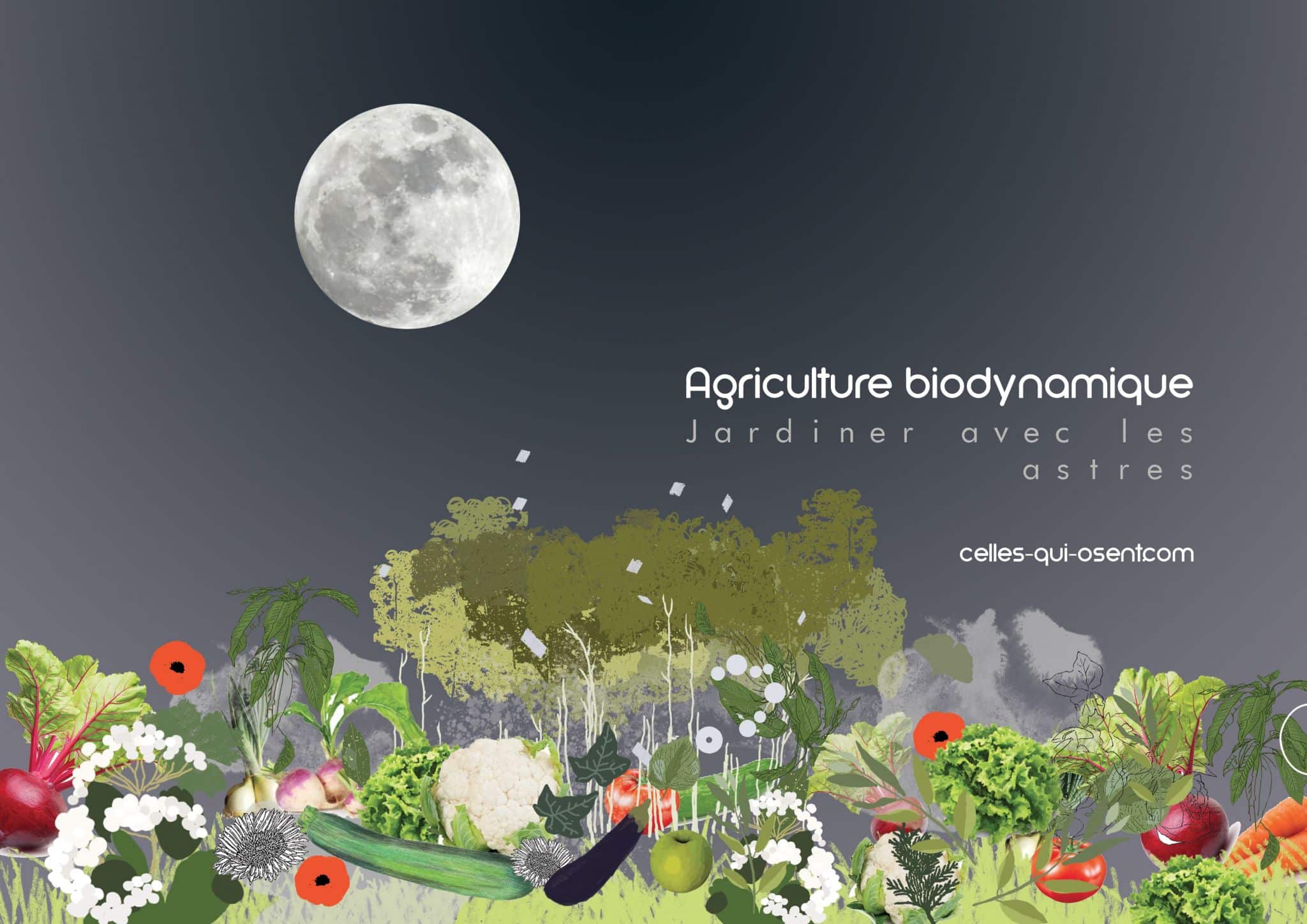 jardin-biodynamique-lune-celles-qui-osent-CQO