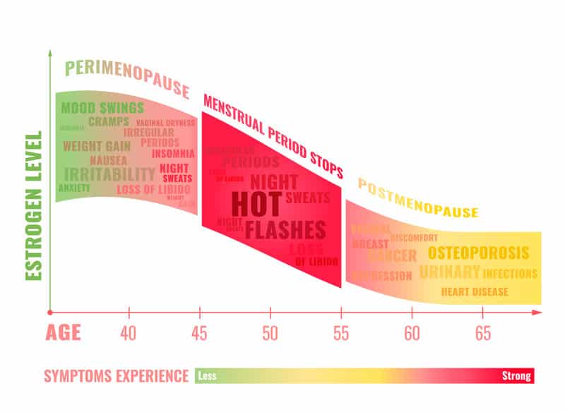 Les phases de la ménopause