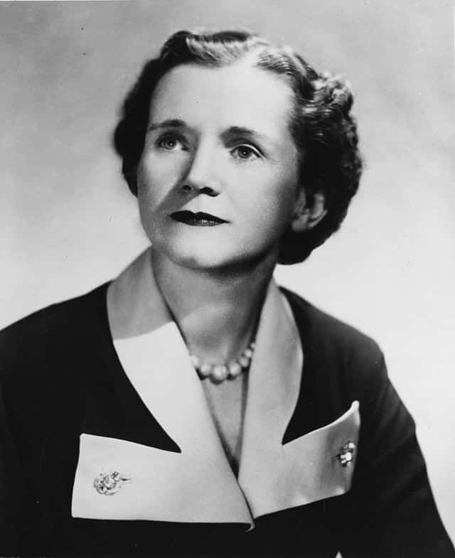 Ces femmes qui avaient predit la catastrophe écologique : portrait de Rachel Carson