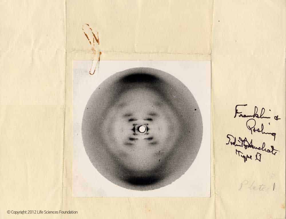 Cliche 51 vole a Rosalind Franklin pour l obtention du Prix Nobel