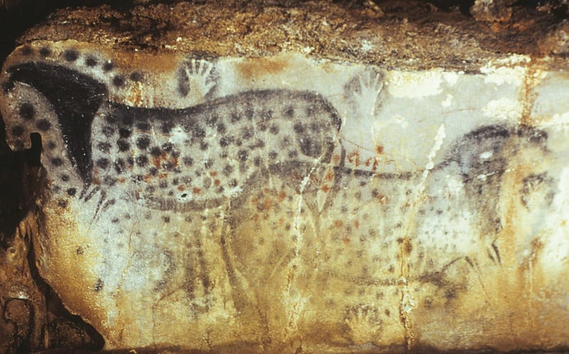Photographie des peintures rupestres de la grotte de Pech Merle