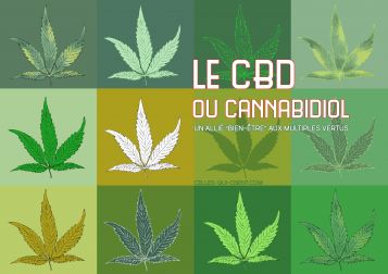 Le CBD ou cannabidiol | Un allié “bien-être” aux multiples vertus